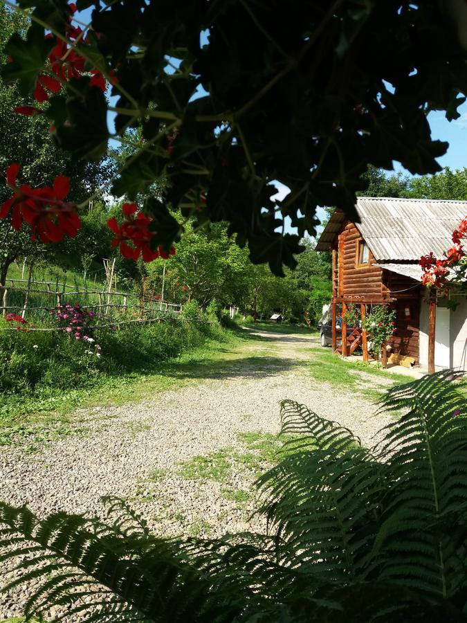 Cabana Victor Сигету-Мармацией Экстерьер фото